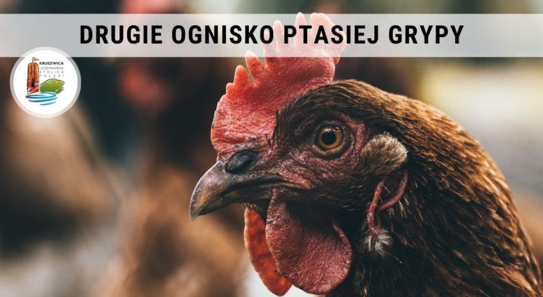 Ważne informacje dotyczące drugiego ogniska ptasiej grypy!