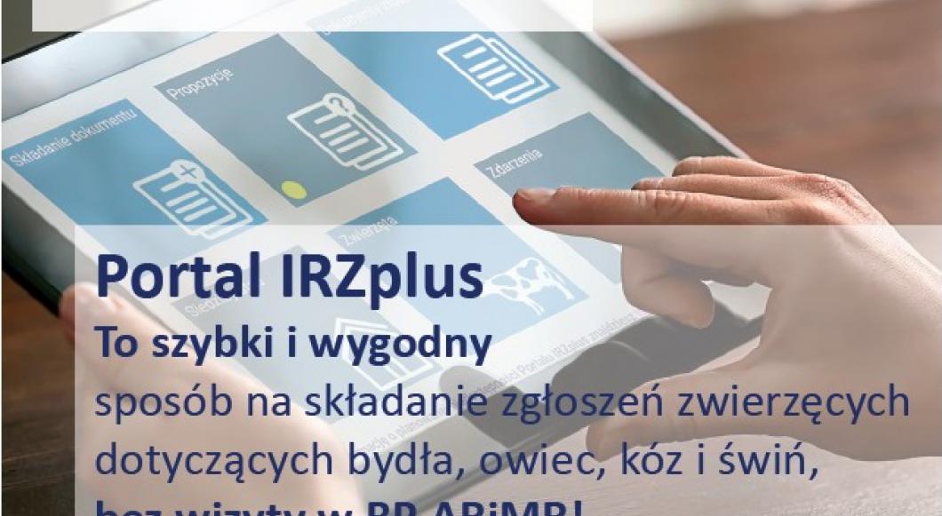 Dokonywanie zgłoszeń przemieszczeń zwierząt z zakresu IRZ ARiMR