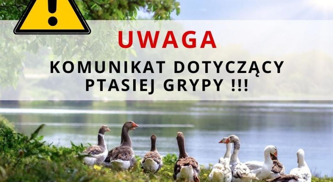 UWAGA! KOMUNIKAT DOTYCZĄCY PTASIEJ GRYPY!