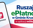 grafika
