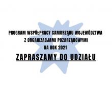 Rozpoczynamy konsultacje Programu współpracy na rok 2021
