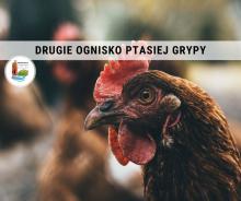 Ważne informacje dotyczące drugiego ogniska ptasiej grypy!