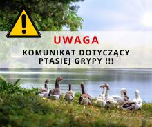 UWAGA! KOMUNIKAT DOTYCZĄCY PTASIEJ GRYPY!